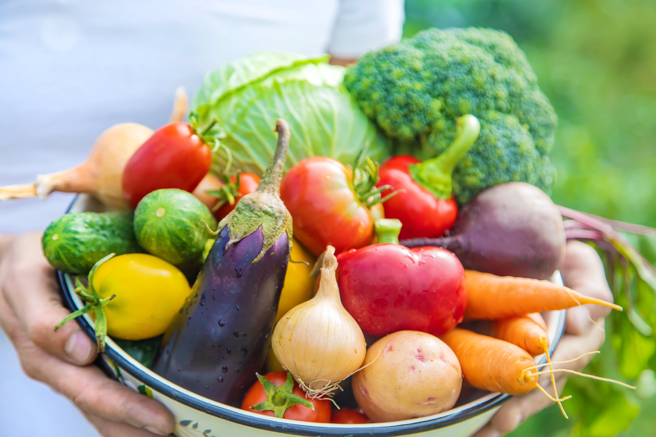 organic compost